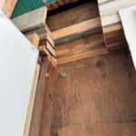 WhatsApp Image 2026-03-28 at 08.48.03