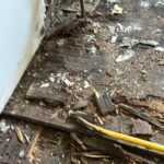 WhatsApp Image 2026-03-28 at 08.48.09 (1)